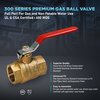 Everflow FIP Gas Ball Valve, Brass 1-1/2" 300T112